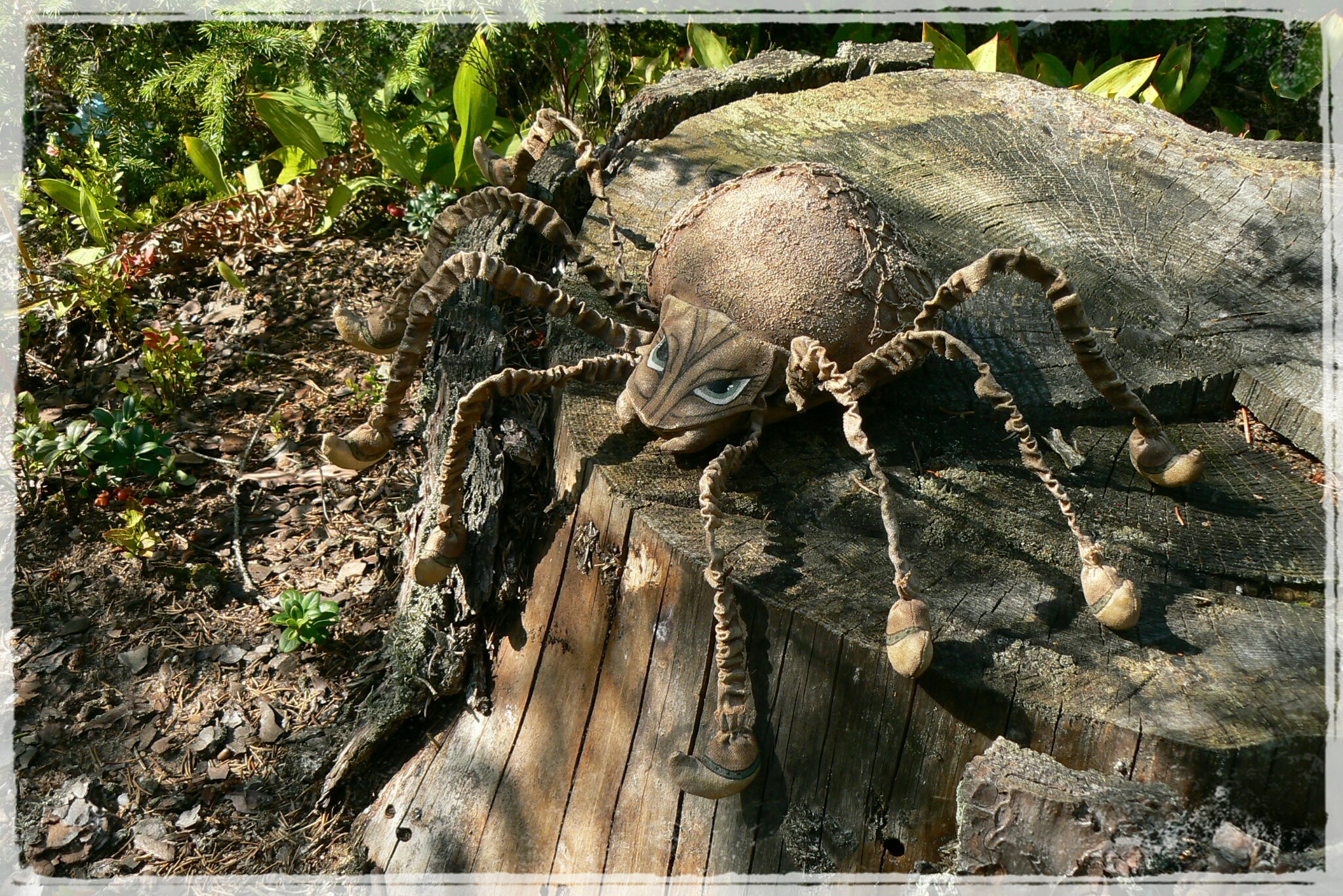 Паук - Голенева (2016)_0.jpg